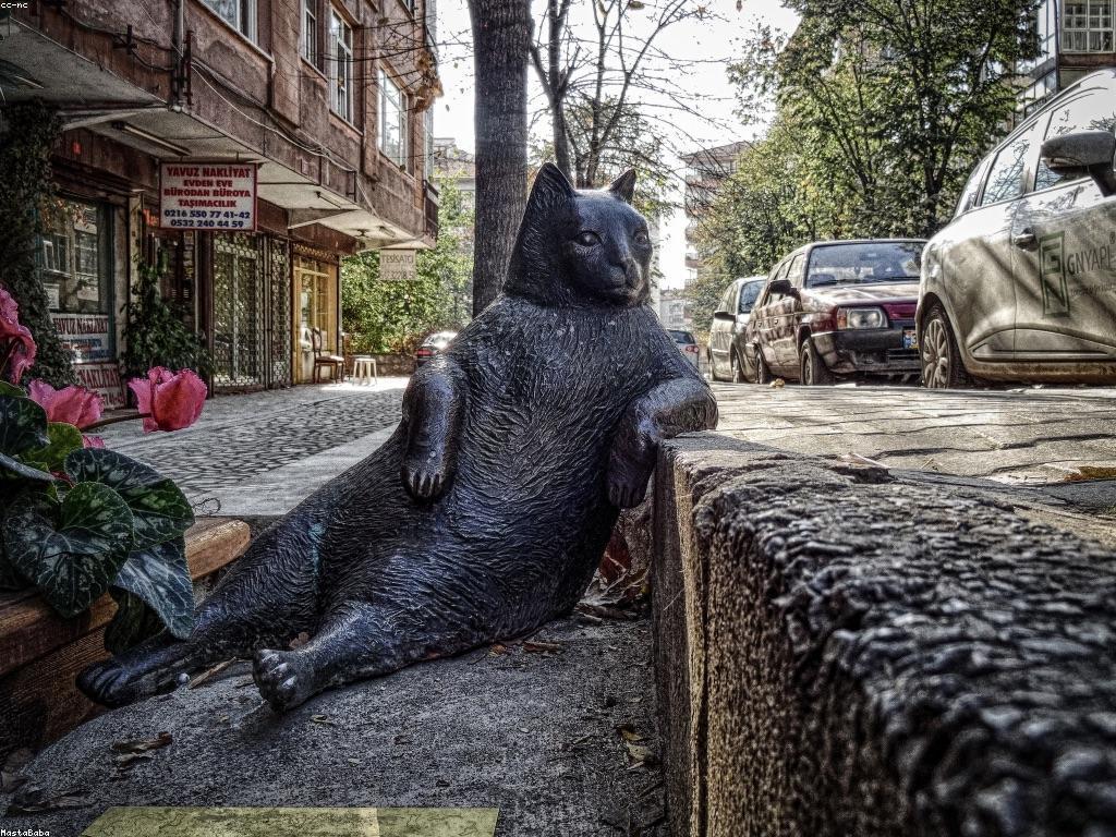 អនាគតនៃស្លតថ្មី: ការព្យាករ និងចំណេះដឹង