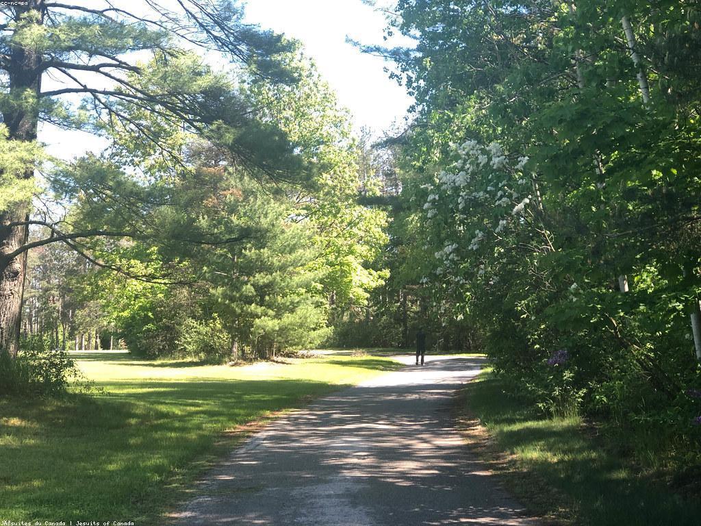 ការទទួលបានជោគជ័យតាមរយៈការសហការណ៍